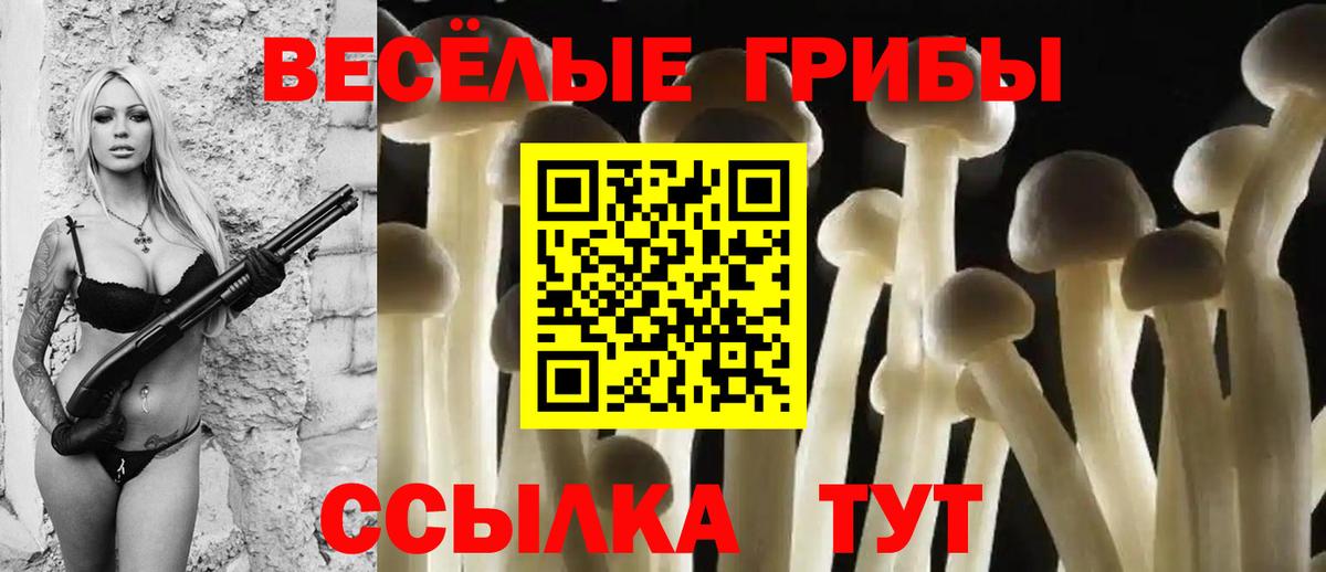 Сафоново  Галлюциногенные грибы MAGIC MUSHROOMS  Псилоцибиновые грибы Magic Shrooms  Вход с VPN 